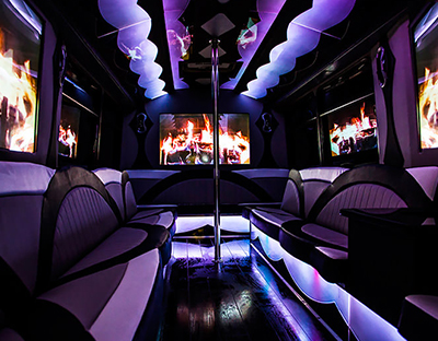 Large party bus rental