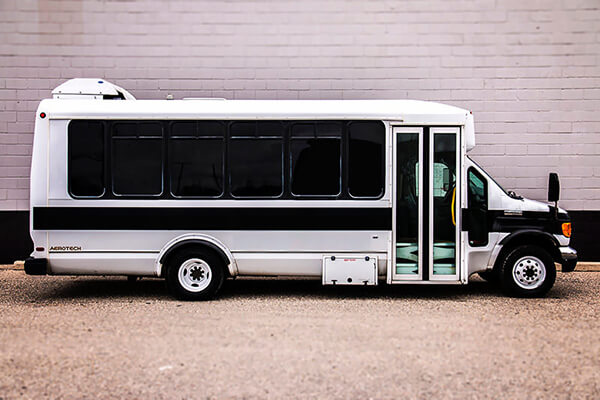 24-passenger New Orleans, LA, party bus